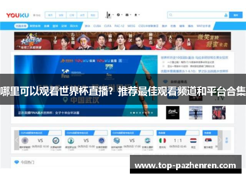 哪里可以观看世界杯直播？推荐最佳观看频道和平台合集