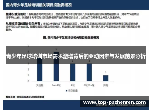 青少年足球培训市场需求激增背后的驱动因素与发展前景分析